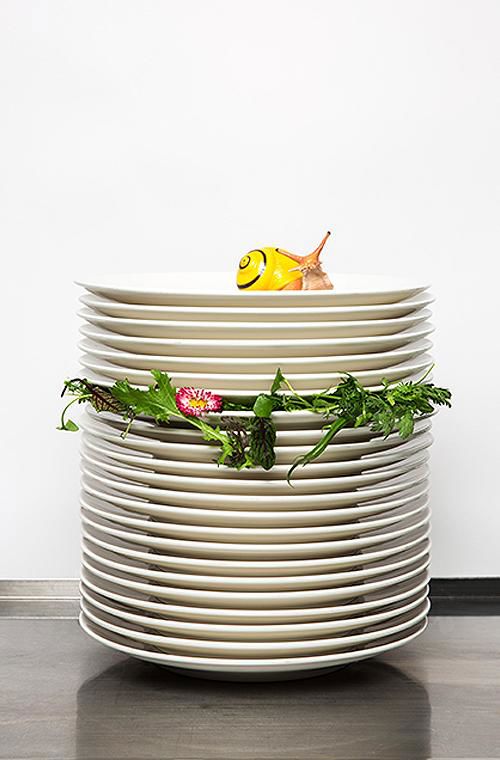 A stack of dishes with a snail on top
