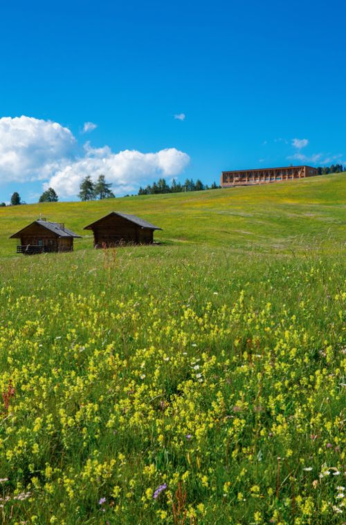 Die Seiser Alm im Sommer