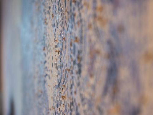 A detail of Foto Feathers by Roland Senoner