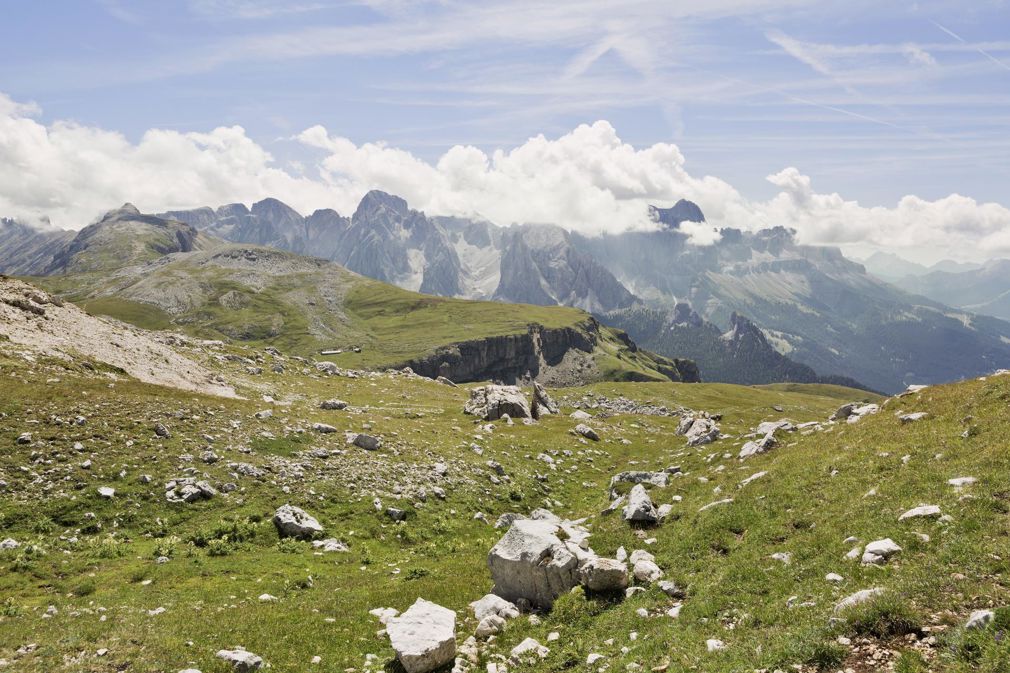 Rund um den Rosengarten