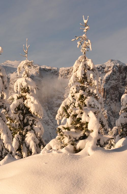 Snow-Covered Panorama